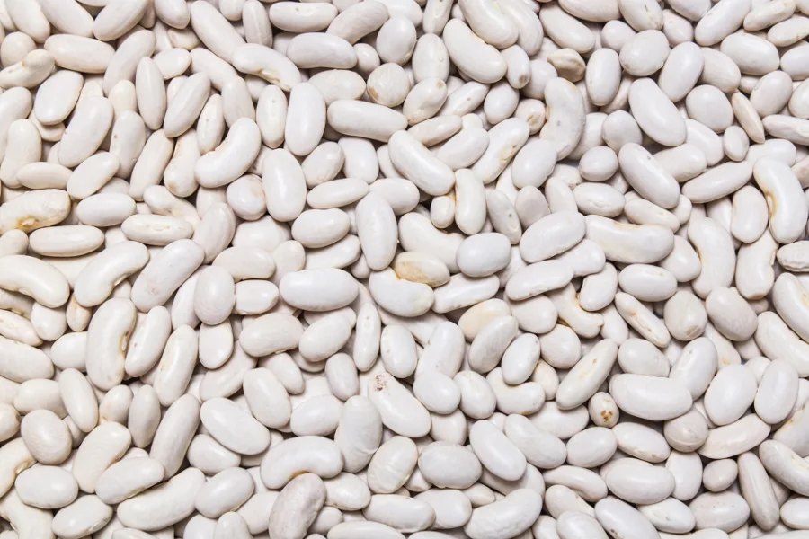 Great northern beans
