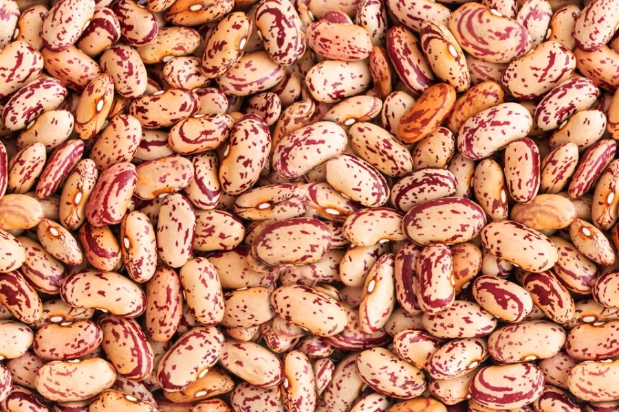 Pinto beans