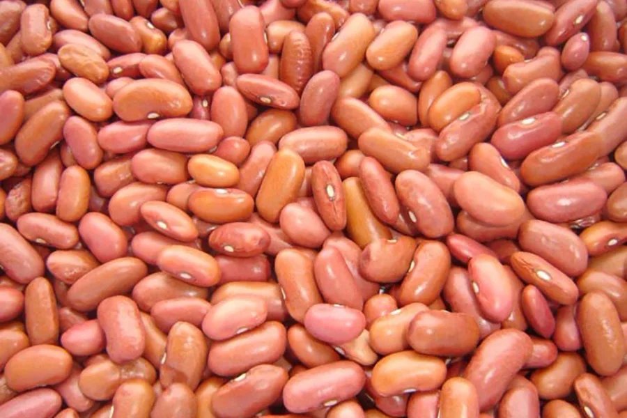 Red kidney beans