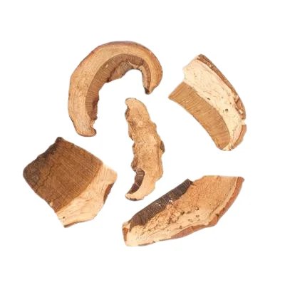 Dried mushrooms