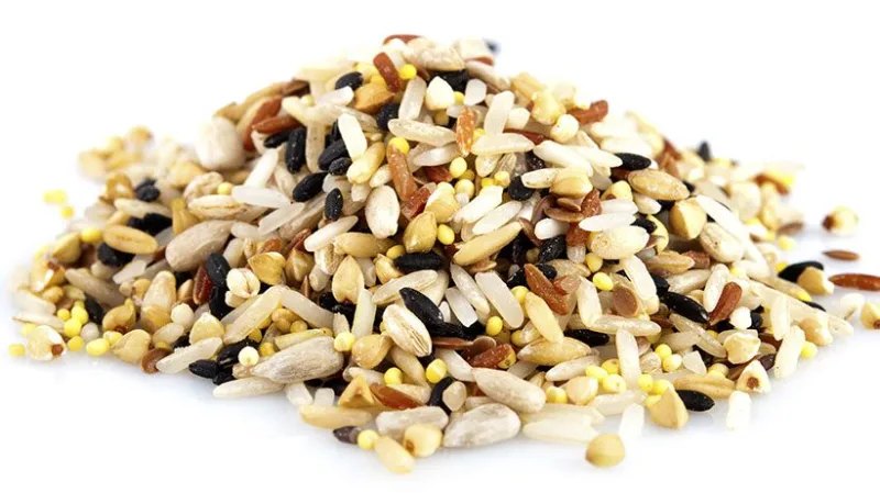 Wild rice and rice blends