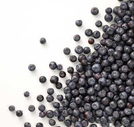 Blueberries — IQF Frozen Fruit