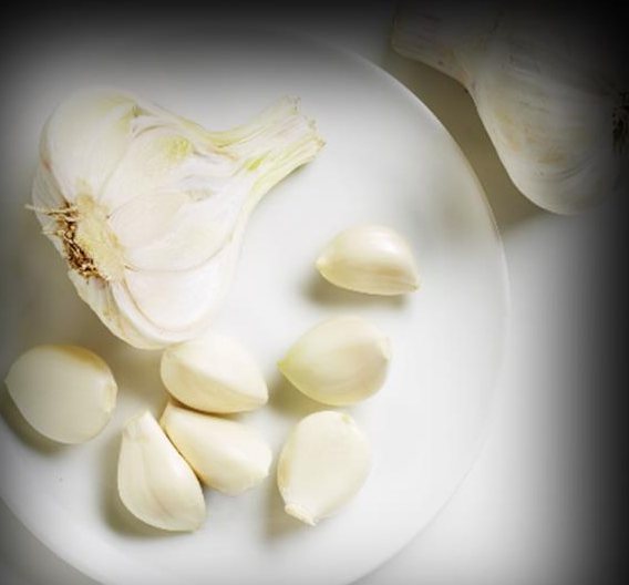 Garlic — IQF & Dried Herbs