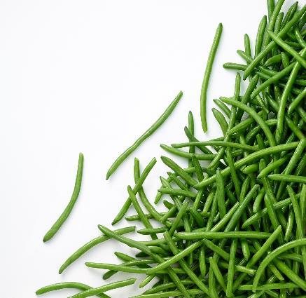 Green beans — IQF Frozen Vegetables